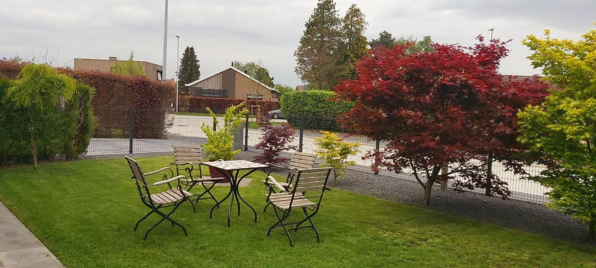 Lovendegem B&B Sogni D'Oro المظهر الخارجي الصورة