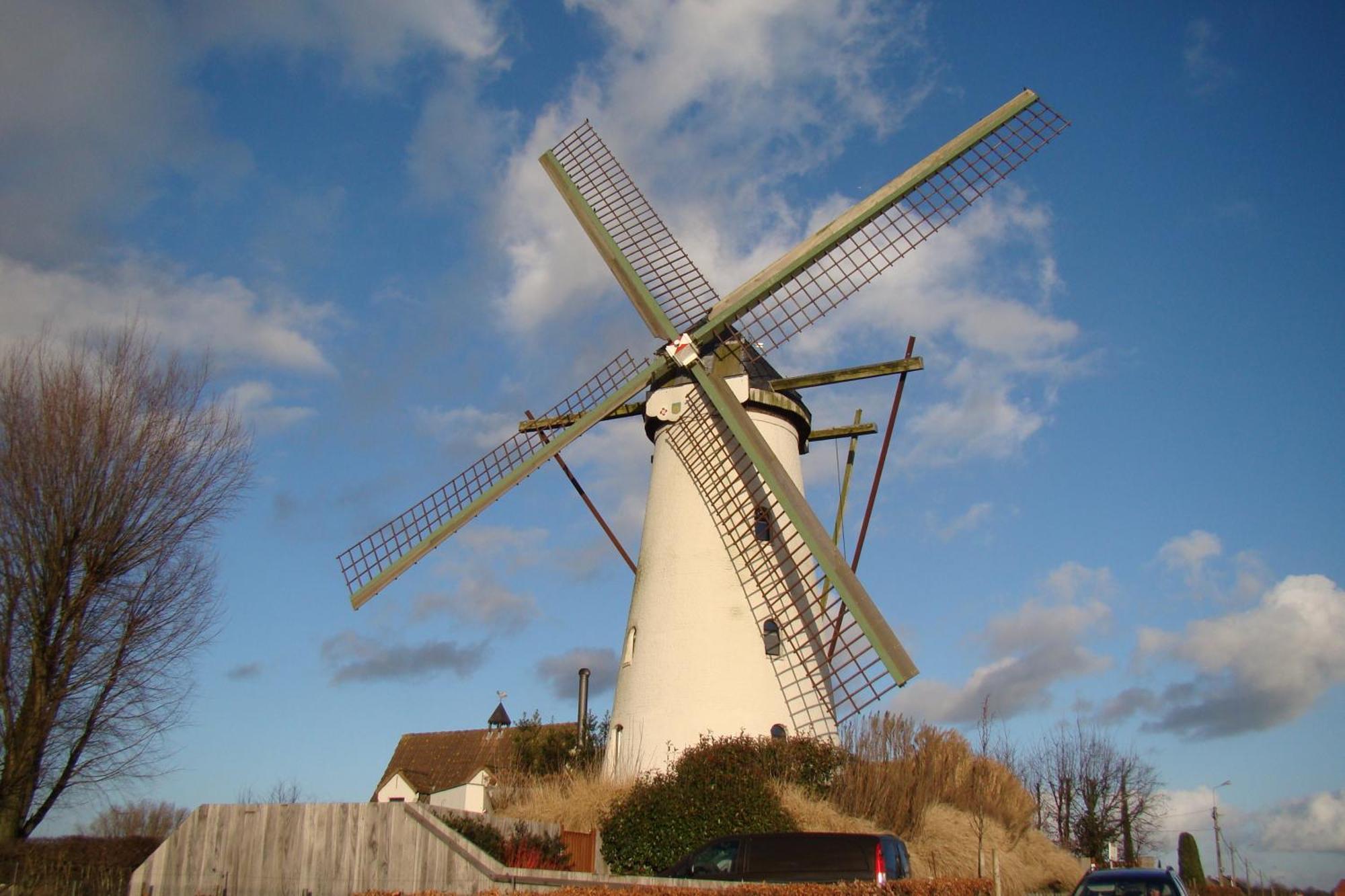 Lovendegem B&B Sogni D'Oro المظهر الخارجي الصورة