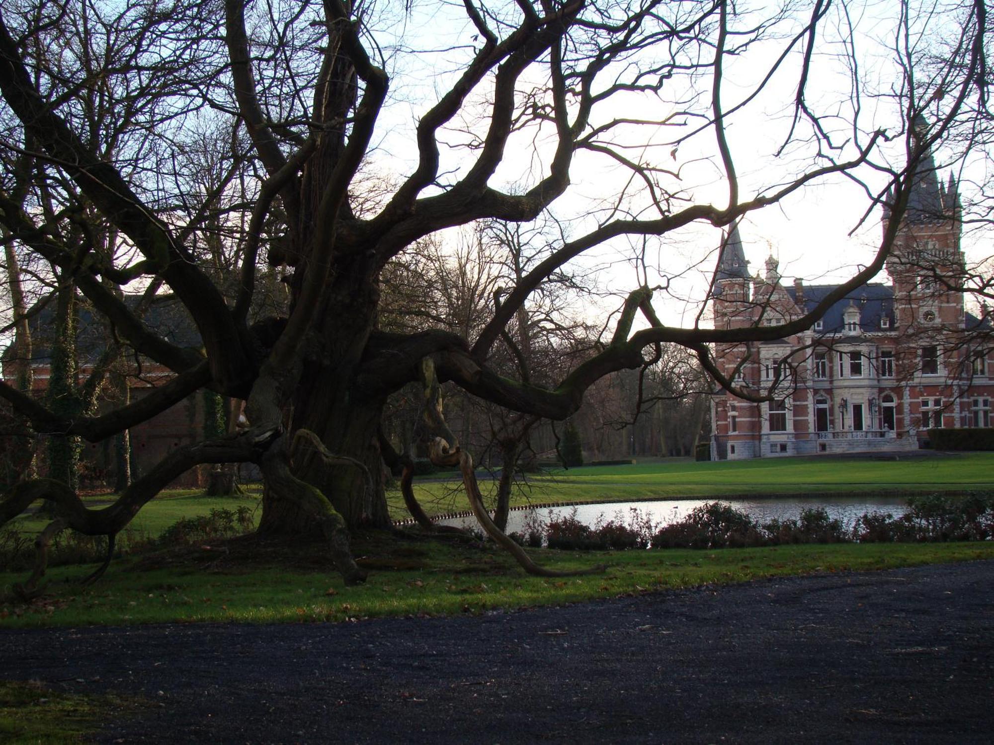 Lovendegem B&B Sogni D'Oro المظهر الخارجي الصورة
