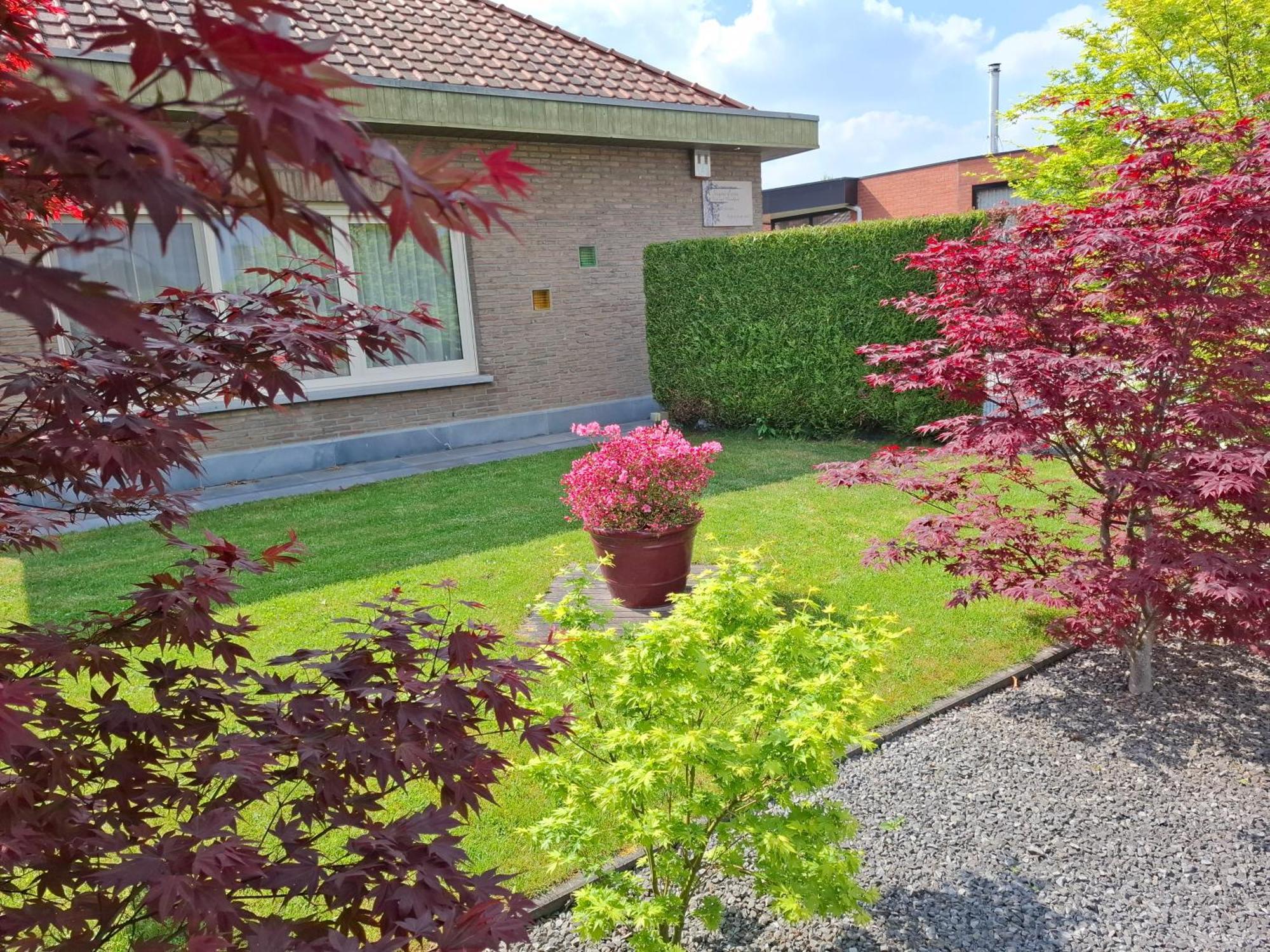 Lovendegem B&B Sogni D'Oro المظهر الخارجي الصورة