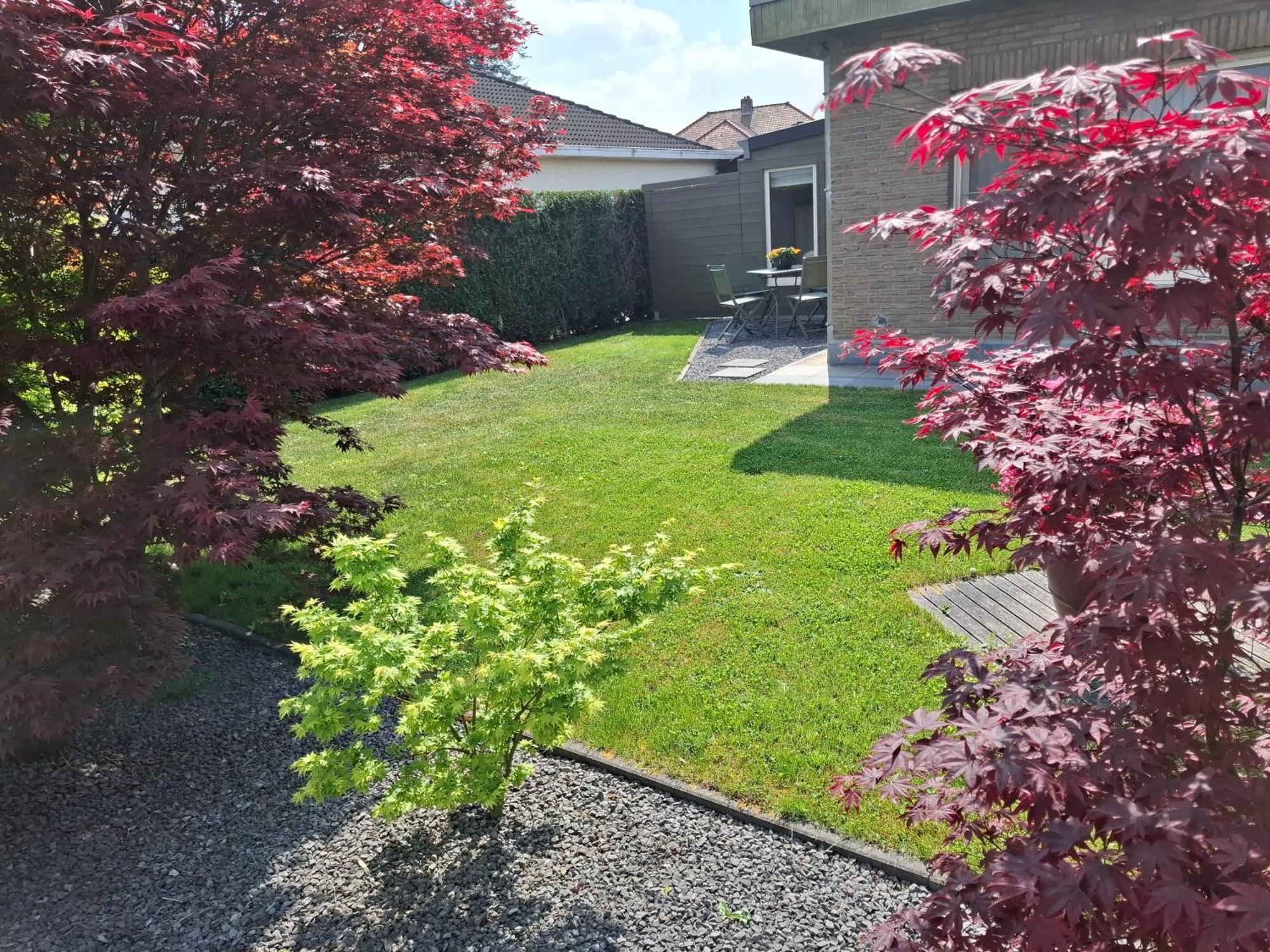 Lovendegem B&B Sogni D'Oro المظهر الخارجي الصورة
