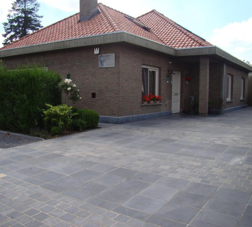 Lovendegem B&B Sogni D'Oro المظهر الخارجي الصورة